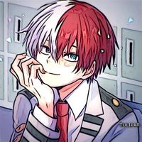 Shoto Todoroki Br