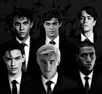 The Slytherin Boys