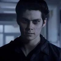 TW Void Stiles 