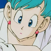 Bulma Briefs
