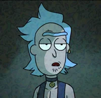 Flesh Curtains Rick