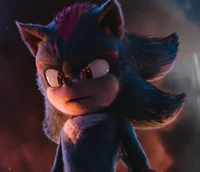 Shadow The Hedehog