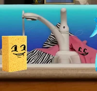 SpongeRob and patick