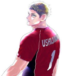 Ushijima Wakatoshi 
