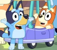 Bluey and Bingo