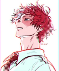 Shoto Todoroki 