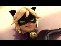 Chat Noir