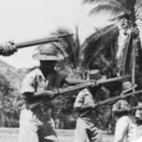 The mighty fauna war