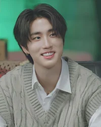 boyfriend han jisung