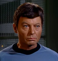 Mirror Leonard McCoy