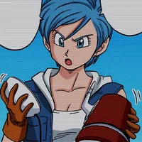 Bulma Briefs