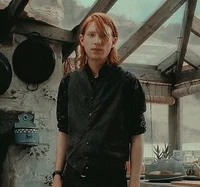 Bill Weasley