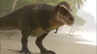 Tyrannosaurus Rex