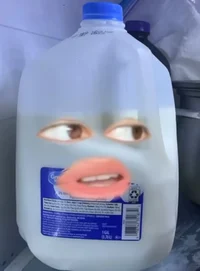 Milk