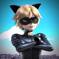 Chat noir
