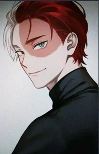 Shoto Todoroki 