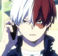 Shoto todoroki 