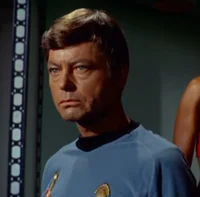 Mirror Leonard McCoy