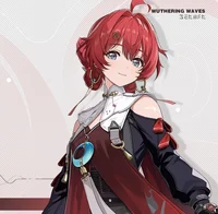 -WUWA-Danjin