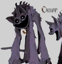 CatNap 