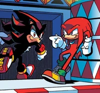 Knuckles and Shadow