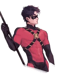 DC Tim Drake