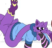 Catnap-Chill session