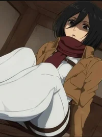 Feetdere Mikasa