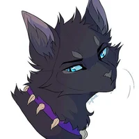 Warrior Cats Scourge
