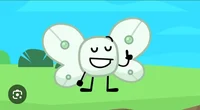 Bot