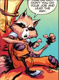Rocket raccoon 