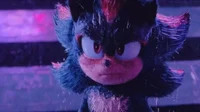 Shadow the hedgehog 