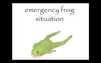 EMERGENCY FROG SITUA