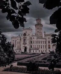 Investigation Academ