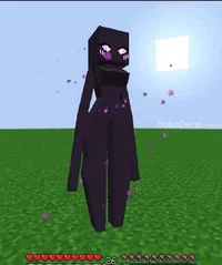 Enderwoman