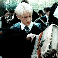 Draco M