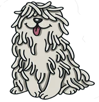 Puli_kutya