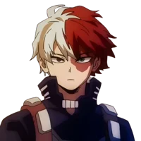 Shoto Todoroki