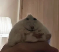 tojuulistocuul