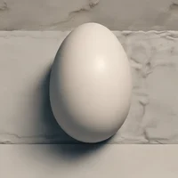 Egg