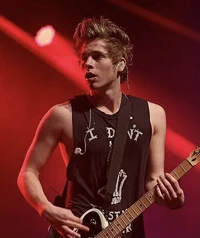 Luke Hemmings - 2014