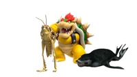 Hopper bowser seal
