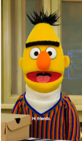 Bert