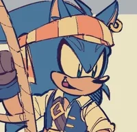 Pirate Sonic