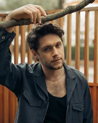 niall horan