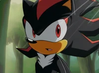 Shadow the hedgehog 