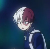 Shoto Todoroki 