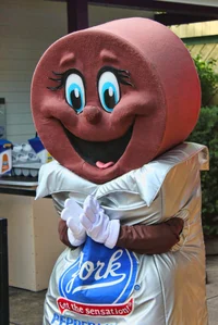 York pattie mascot