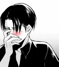 AOT Levi Ackerman 