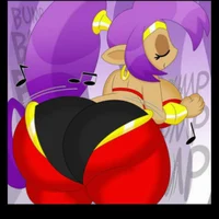 shantae 3BART